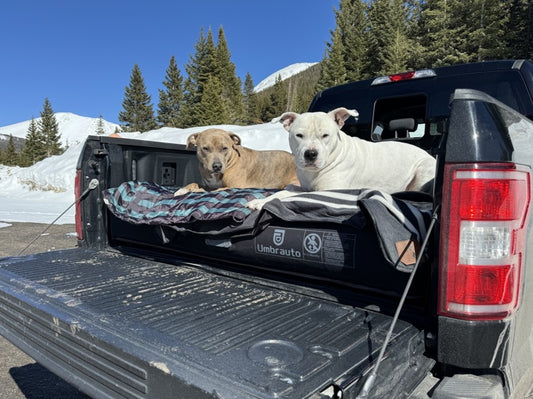 The most easy use truck car camping air mattress
